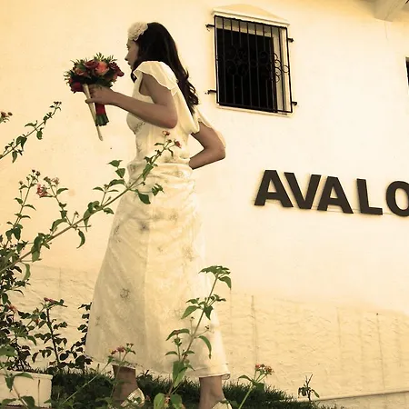 Avalon Guest house
