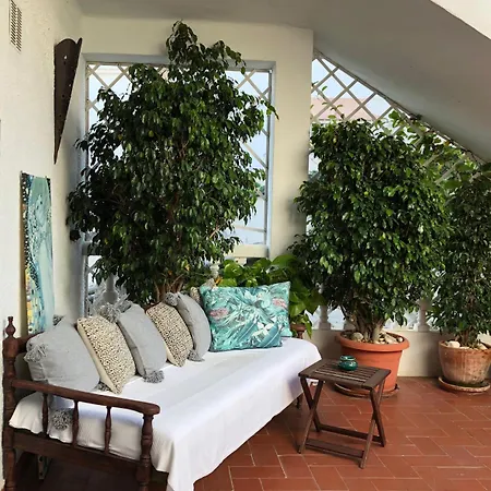 Avalon Guest house Nerja